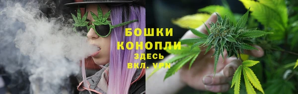 гидра Армянск