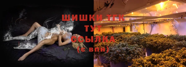 гидра Армянск