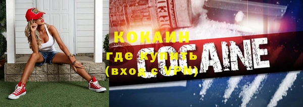 дживик Арсеньев